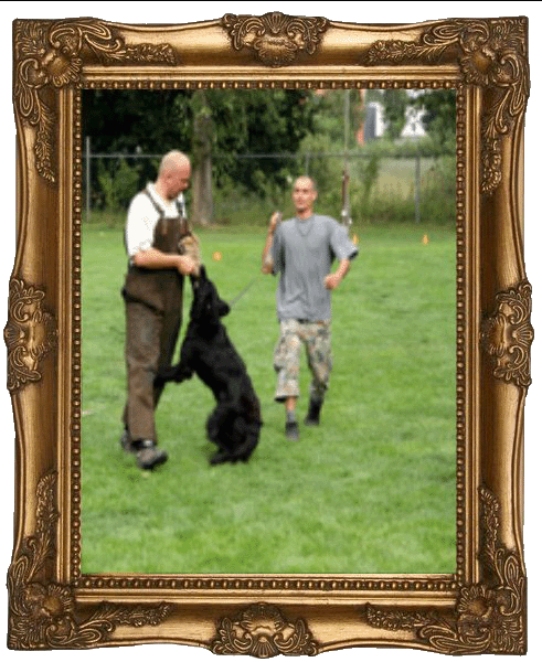 klik hier voor meer foto's